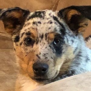 Meet your Posher, Chloe